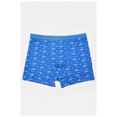 Боксери чоловічі блакитного кольору 193929L
