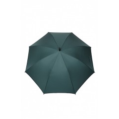Парасолька напівавтомат тростина темно-зеленого кольору 194263L Парасолька напівавтомат тростина темно-зеленого кольору 194263L