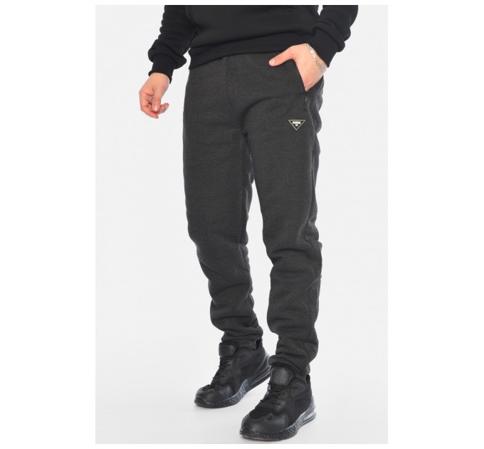 Спортивні штани чоловічі на флісі сірого кольору 196050L