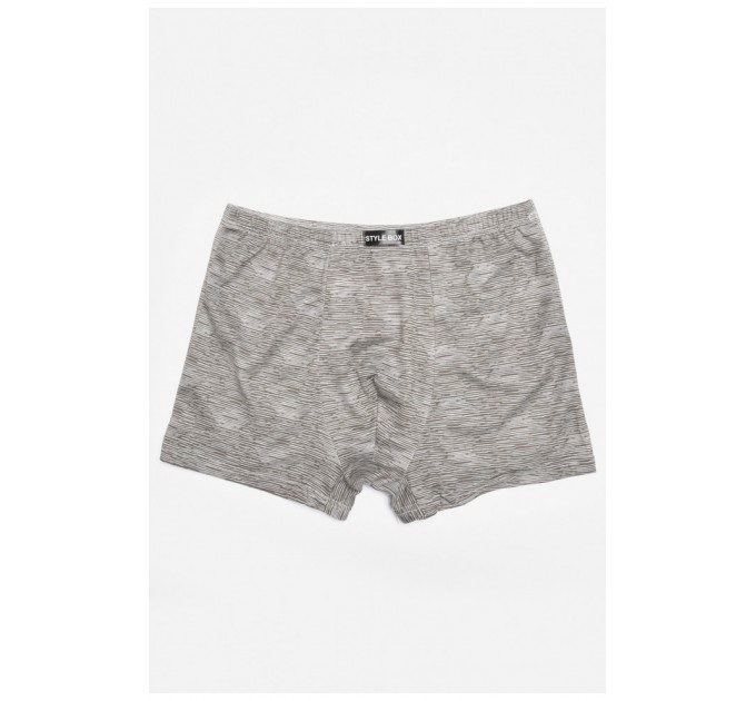 Боксеры мужские светло-серого цвета 196500L