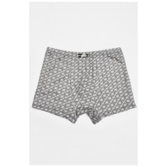 Боксери чоловічі світло-сірого кольору 196505L