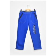 Штани дитячі для хлопчика синього кольору на флісі 203374L