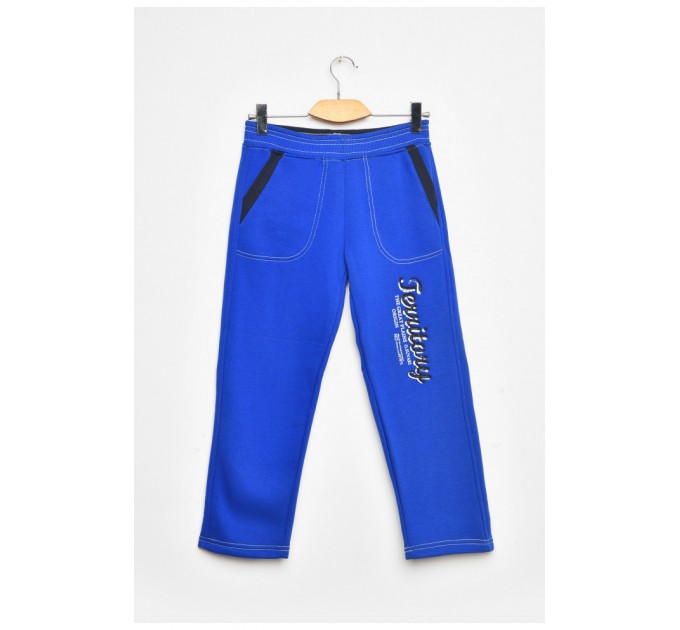 Штани дитячі для хлопчика синього кольору на флісі 203374L