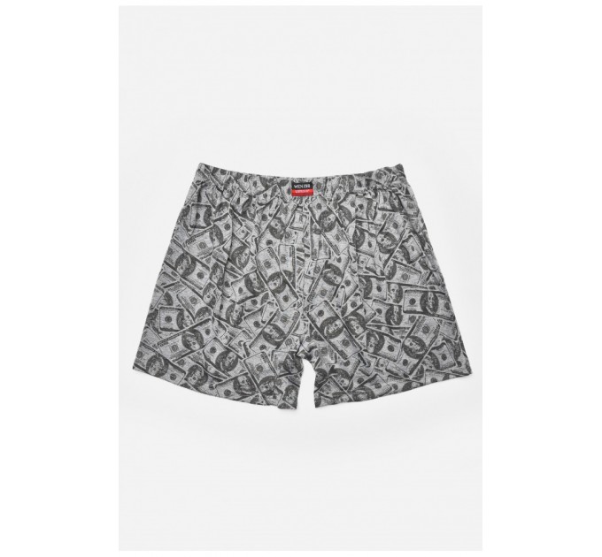 Труси сімейні чоловічі сірого кольору 205337L