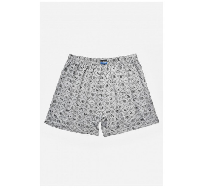 Труси сімейні чоловічі сірого кольору 205338L