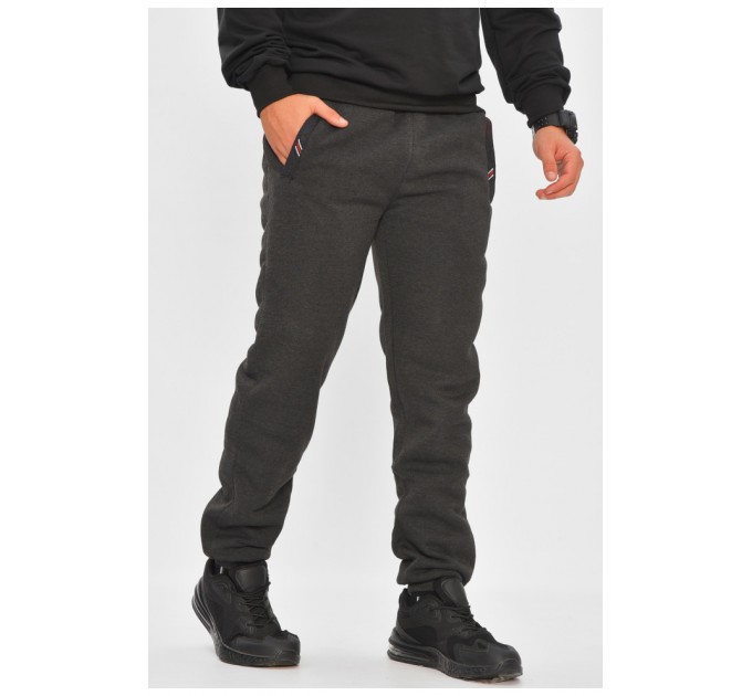 Спортивні штани чоловічі на флісі темно-сірого кольору 205886L