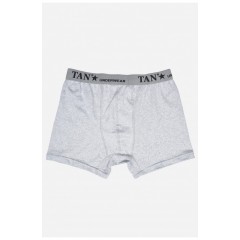 Боксери чоловічі однотонні сірого кольору 169586L