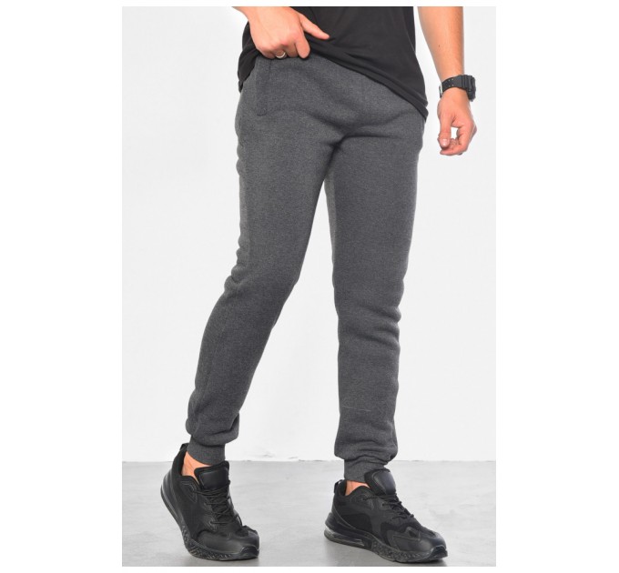 Спортивные брюки мужские на флисе серого цвета 183061L