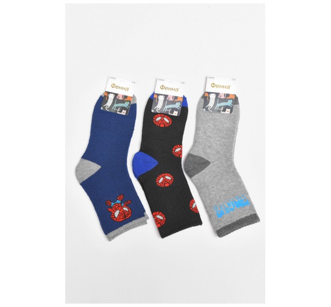 Набір дитячих шкарпеток махрових для хлопчика 3 штуки 189463L