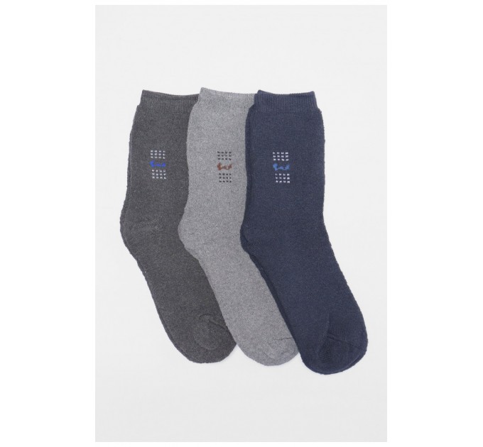 Набір шкарпеток чоловічих махрових 3 штуки 189990L