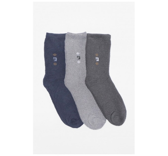 Набір шкарпеток чоловічих махрових 3 штуки 190050L