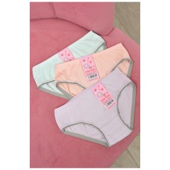Комплект трусиків дитячіх для дівчинки 3шт 192196L