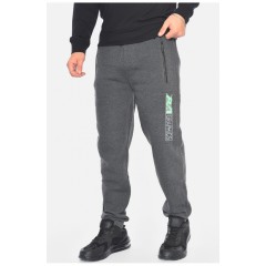 Спортивні штани чоловічі на флісі сірого кольору 192553L