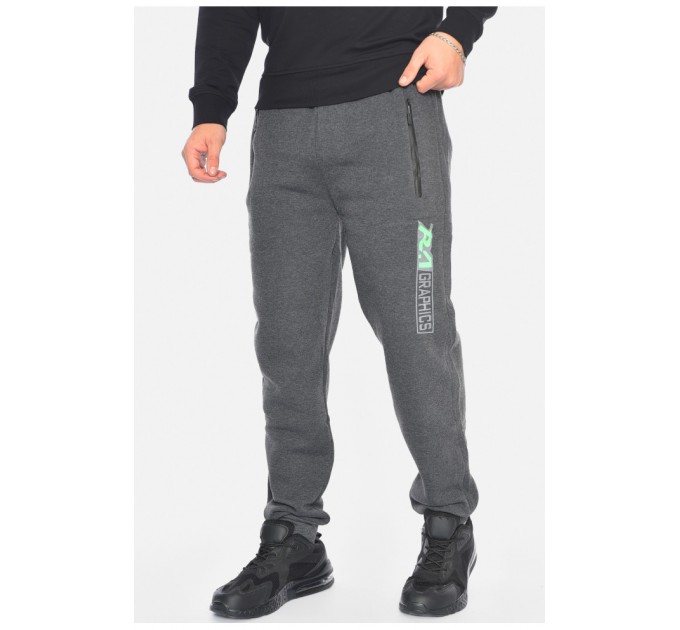 Спортивні штани чоловічі на флісі сірого кольору 192553L