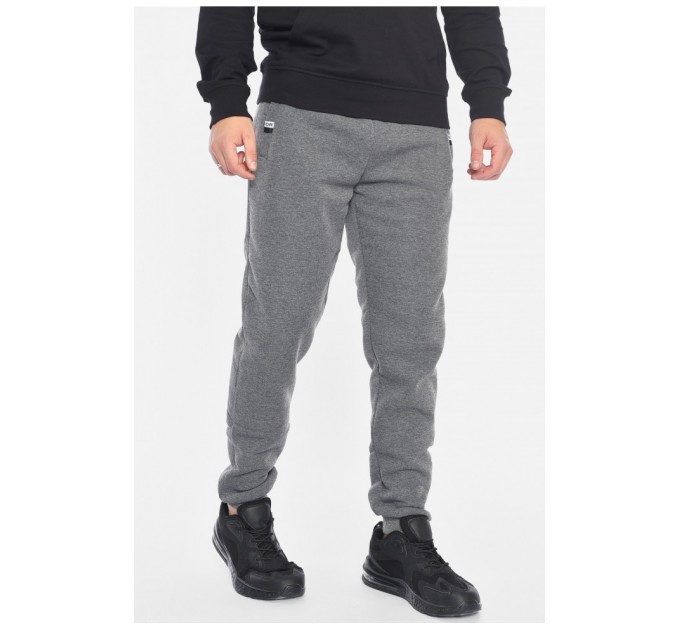 Спортивные брюки мужские на флисе серого цвета 192577L