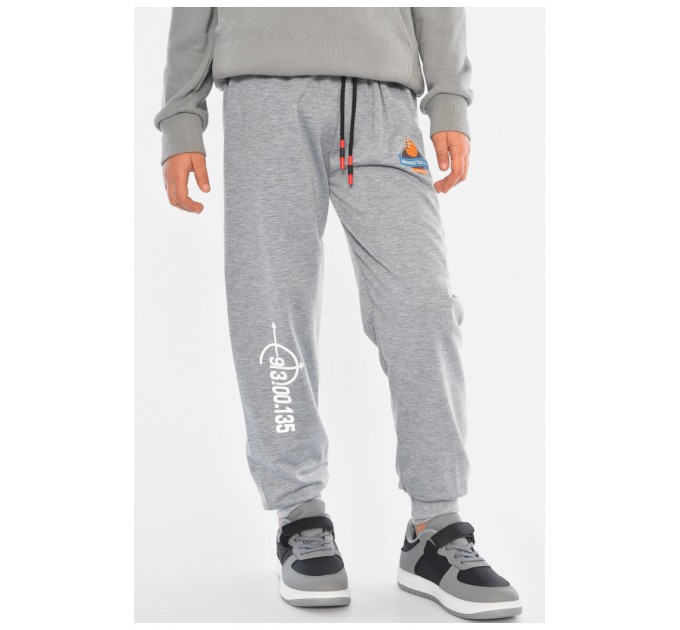 Спортивные брюки детские для мальчика серого цвета 192919L