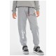 Спортивні штани дитячі для хлопчика сірого кольору 192919L