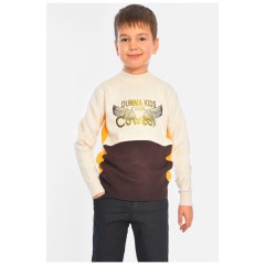 Светр дитячий для хлопчика молочного кольору 196333L