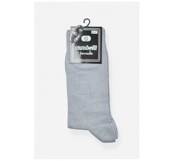 Шкарпетки чоловічі демісезонні сірого кольору 198568L