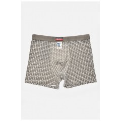 Боксери чоловічі сірого кольору 205356L