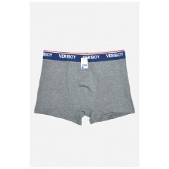 Боксери чоловічі сірого кольору 160227L