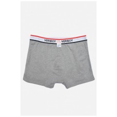 Боксери чоловічі сірого кольору 166335L