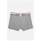 Боксери чоловічі сірого кольору 166335L