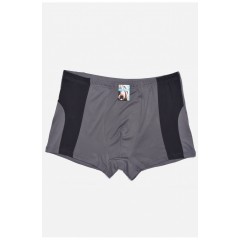 Боксери чоловічі сірого кольору 172633L