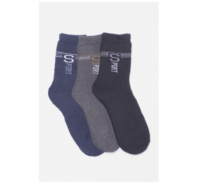 Набір шкарпеток чоловічих махрових 3 штуки 190665L