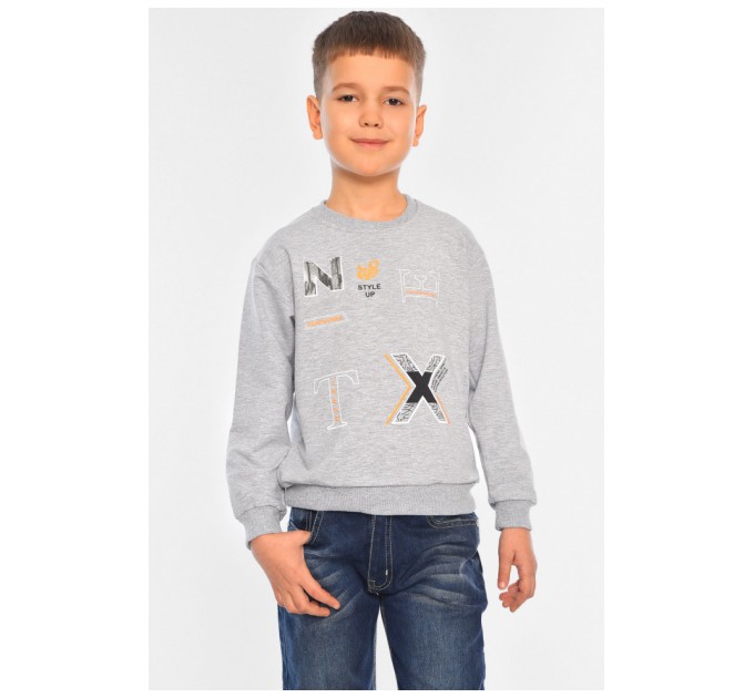 Світшот дитячий для хлопчика сірого кольору 196574L