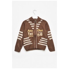 Кофта детская для мальчика коричневого цвета 203419L