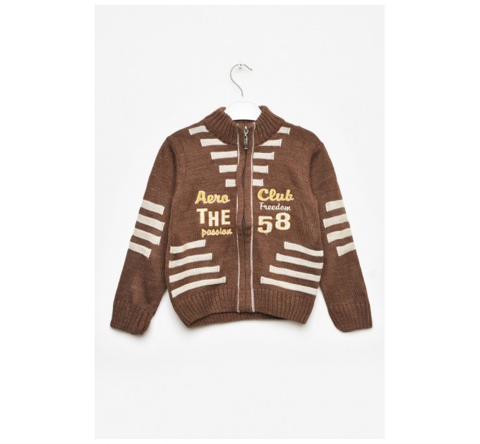 Кофта детская для мальчика коричневого цвета 203419L