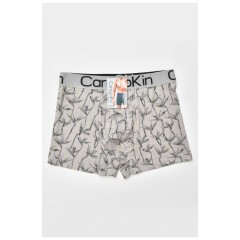 Боксери чоловічі сірого кольору з принтом 205899L