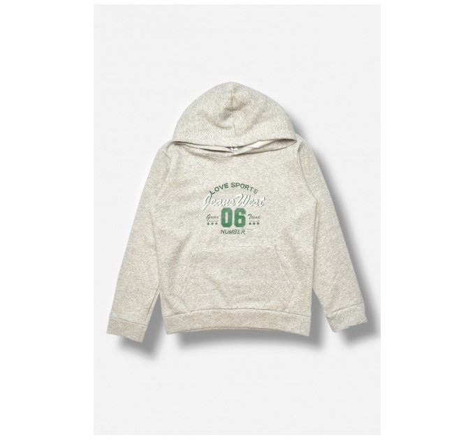 Світшот дитячий для хлопчика на флісі сірого кольору 205998L