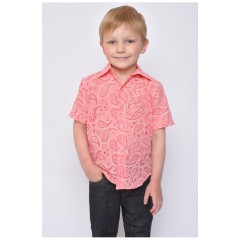 Сорочка дитяча хлопчик коралова 148502L