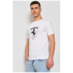 Мужская футболка белого цвета 170601L