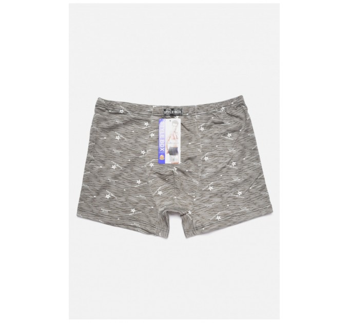 Боксеры мужские полубатальные серого цвета 187306L