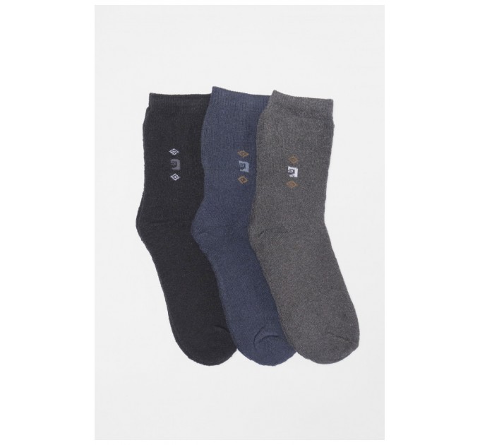 Набір шкарпеток чоловічих махрових 3 штуки 190049L