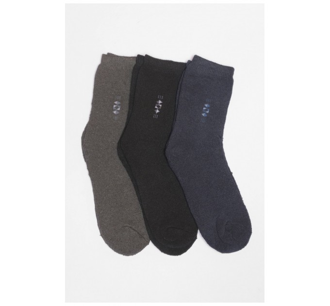 Набір шкарпеток чоловічих махрових 3 штуки 190175L