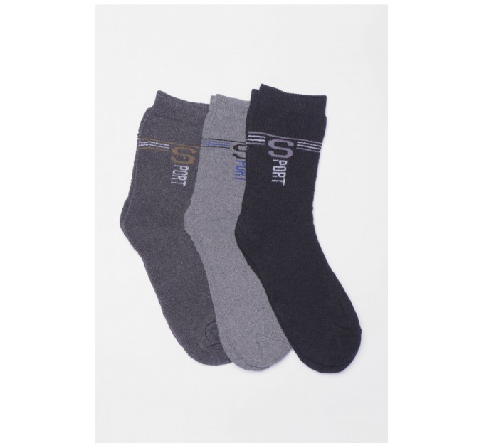 Набір шкарпеток чоловічих махрових 3 штуки 190664L