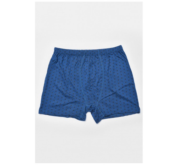 Труси сімейні чоловічі синього кольору з принтом 193135L