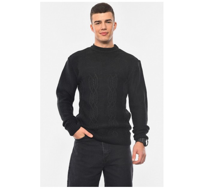 Свитер мужской однотонный черного цвета 193381L