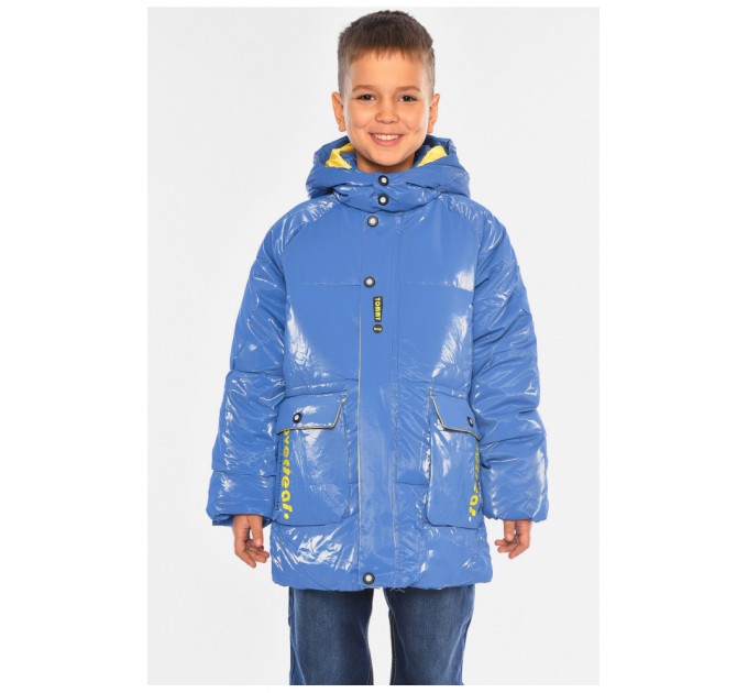 Куртка дитяча демісезонна синього кольору 194699L