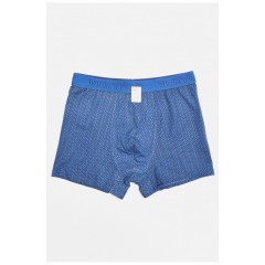 Боксери чоловічі синього кольору 196484L