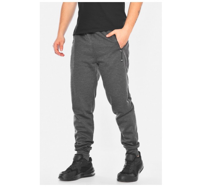 Спортивні штани чоловічі сірого кольору 198345L