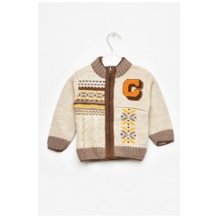 Кофта дитяча для хлопчика бежевого кольору з принтом 201729L