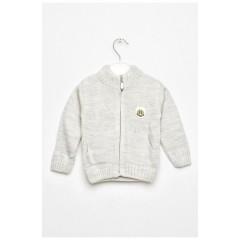 Кофта детская для мальчика светло-серого цвета 201741L