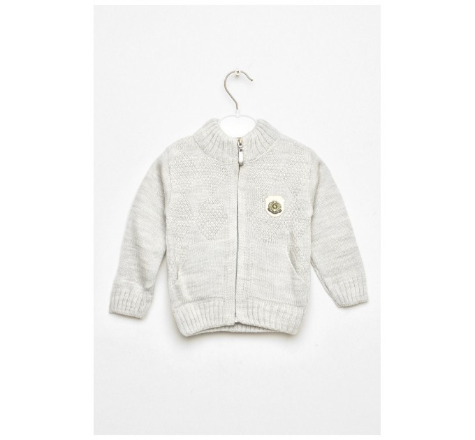 Кофта детская для мальчика светло-серого цвета 201741L