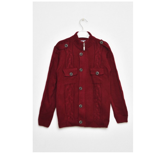 Кофта дитяча для хлопчика бордового кольору 203010L