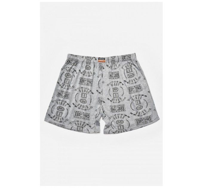 Труси сімейні чоловічі сірого кольору 205339L